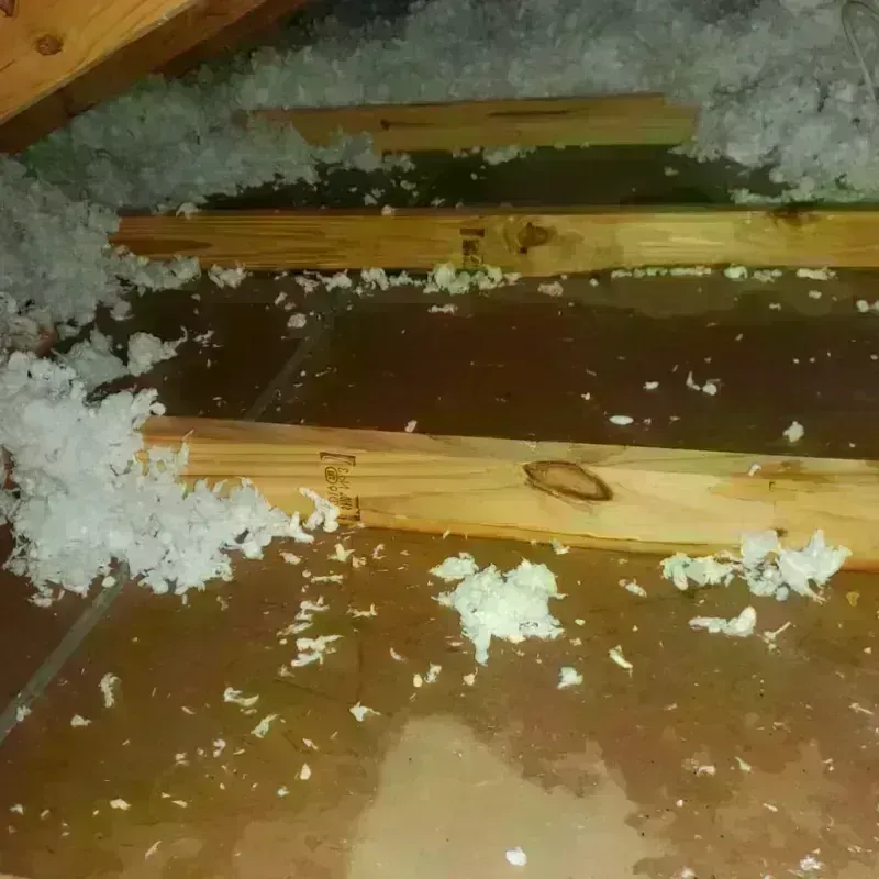 Attic Water Damage in Nixon, TX